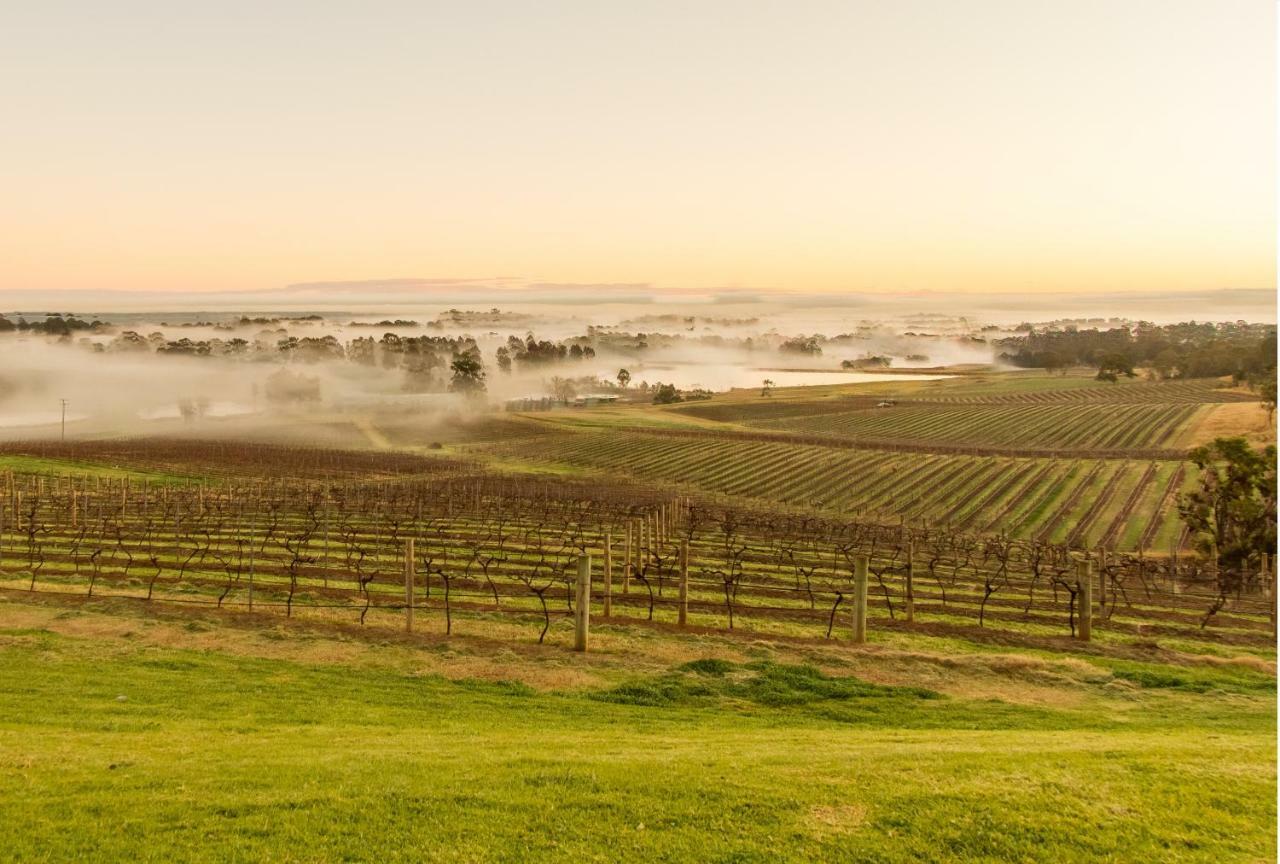 Audrey Wilkinson Vineyard Hostal Pokolbin Exterior foto